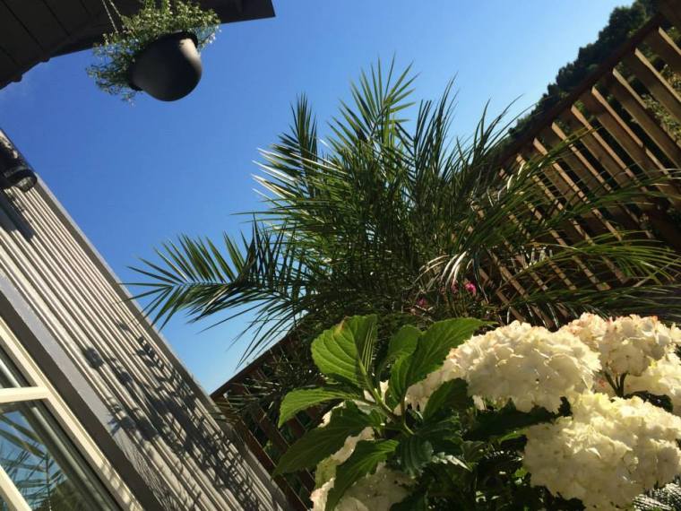 10455129_10152041727061116_1748197597539462984_n