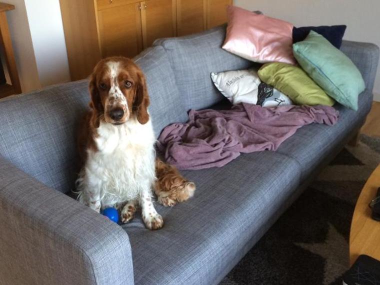 10455371_10152025131636116_5430383841807545784_n