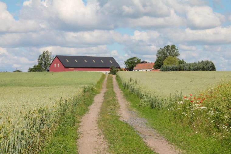 10484145_10152035251931116_4214314917598978518_n