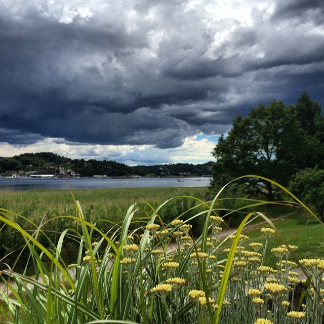 10502332_10152039971006116_7802234710433483987_n