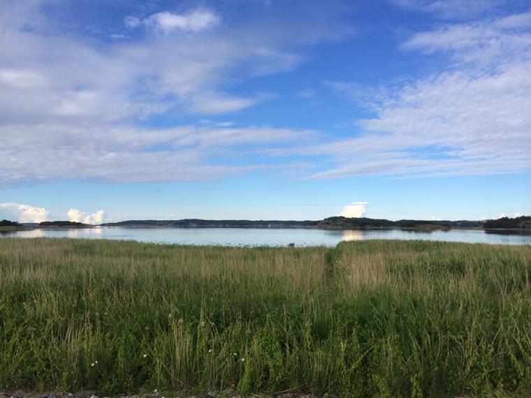 1606993_10152037918411116_8205017163126290400_n