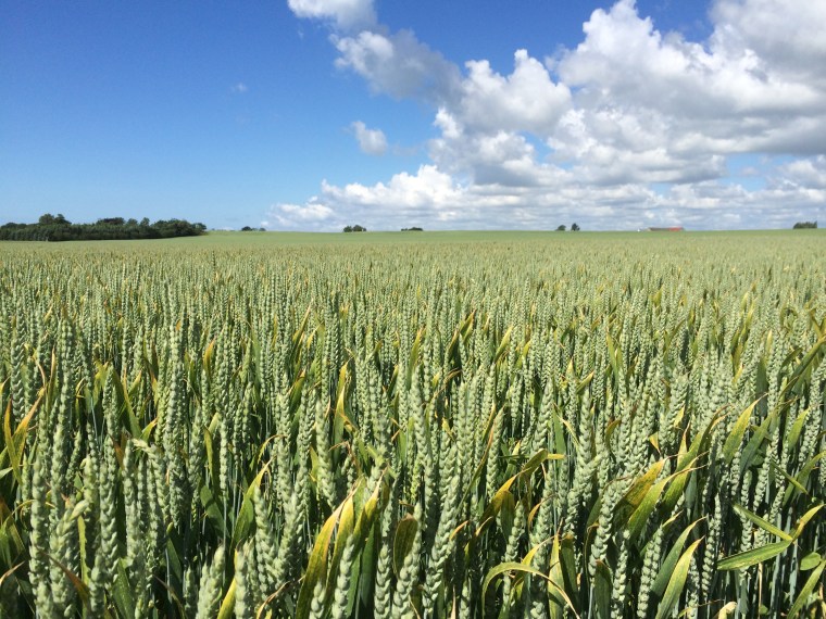 Photo 2014-06-22 10 55 42