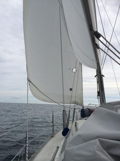 10341505_10152078457061116_2039119921297103393_n