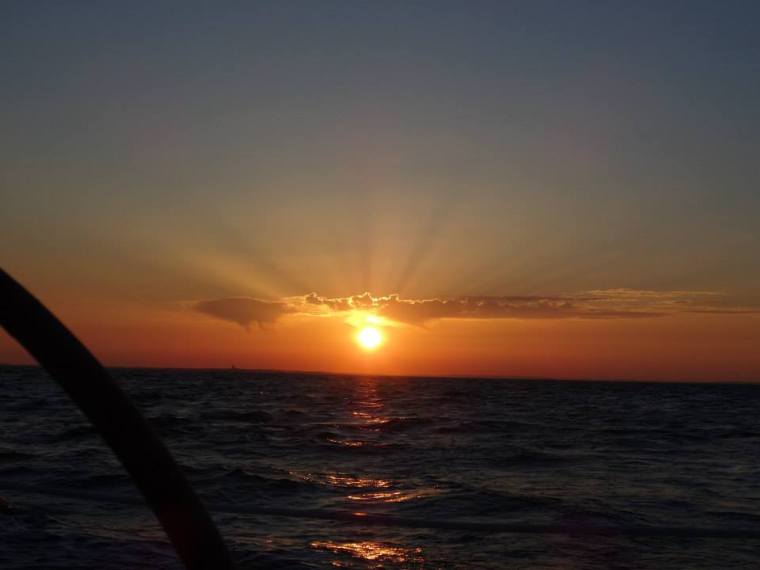 10491171_10152071773196116_3097762745947239102_n