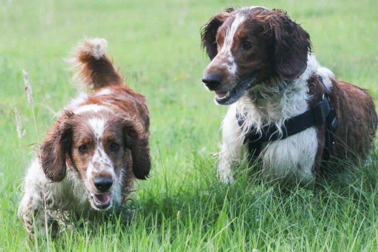 10543071_10152117122576116_7637546008723122886_n