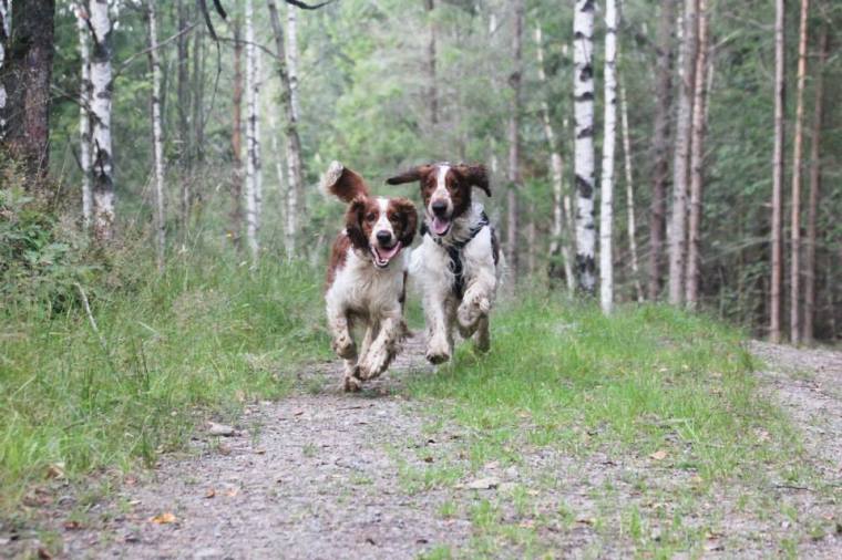 10565195_10152117123021116_1879231492214506951_n