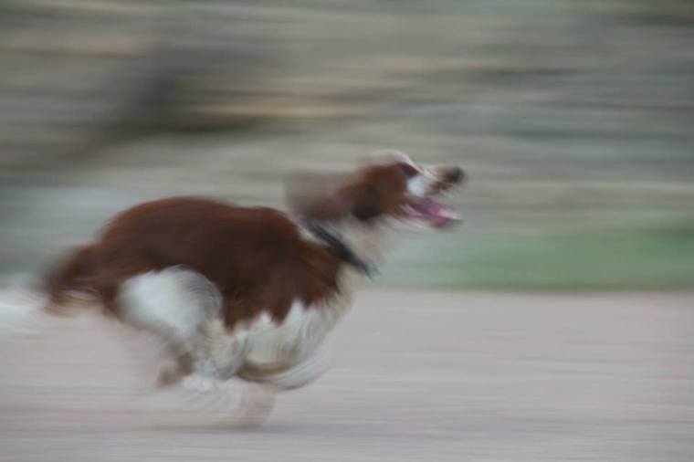 10270537_10152163794211116_5298127769392776901_n