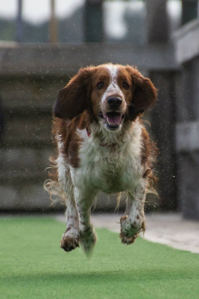 10349874_10152163793506116_5553890468961833246_n