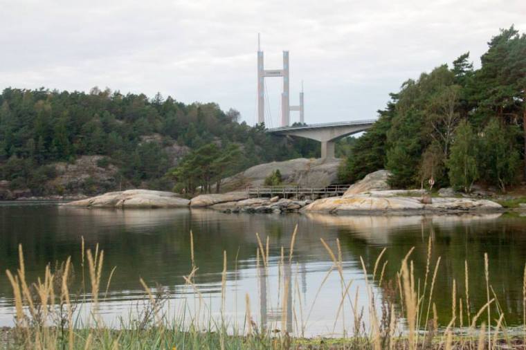 10559699_10152163795296116_5324301267611749968_n