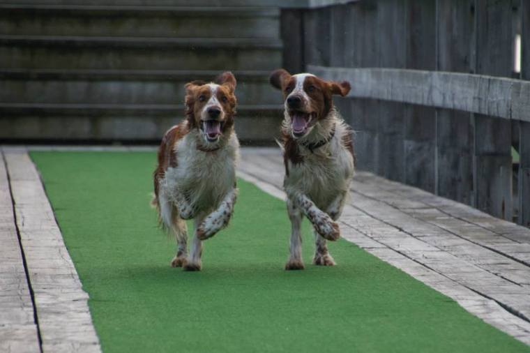 10600355_10152163793706116_663635764001971111_n