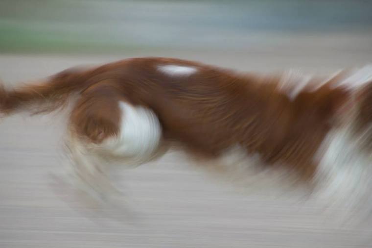 10616044_10152163794021116_8139203139177622_n