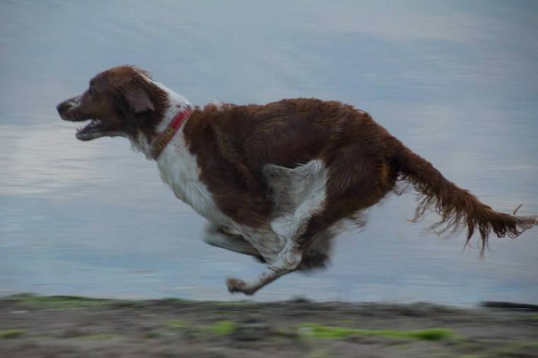 10622877_10152163794556116_5802444397684636534_n