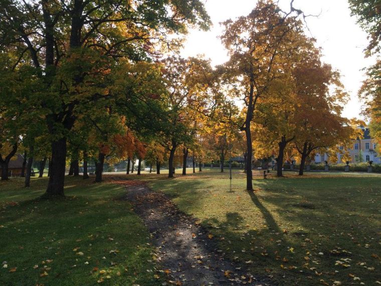 10153823_10152227645016116_7699382767094317031_n