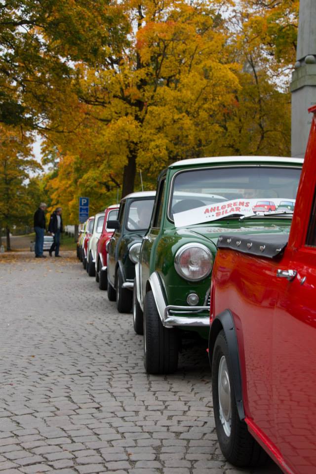 10170816_10152227713156116_9046484191105964585_n