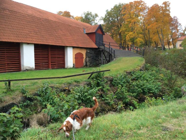 10552527_10152227645511116_8247418493664989782_n