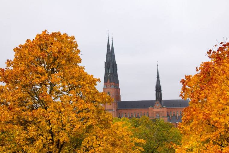 10649620_10152222992221116_6791823891812126093_n