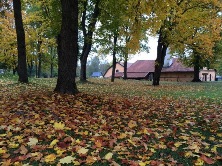 10670164_10152227645286116_5798886408815763033_n