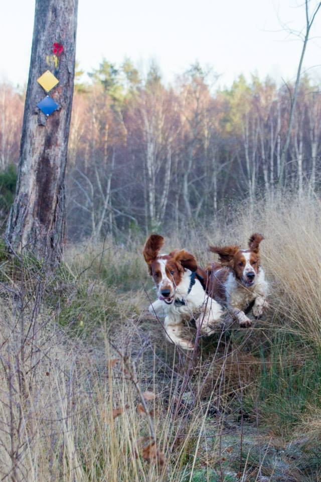 10013873_10152328678956116_5368958208542952245_n