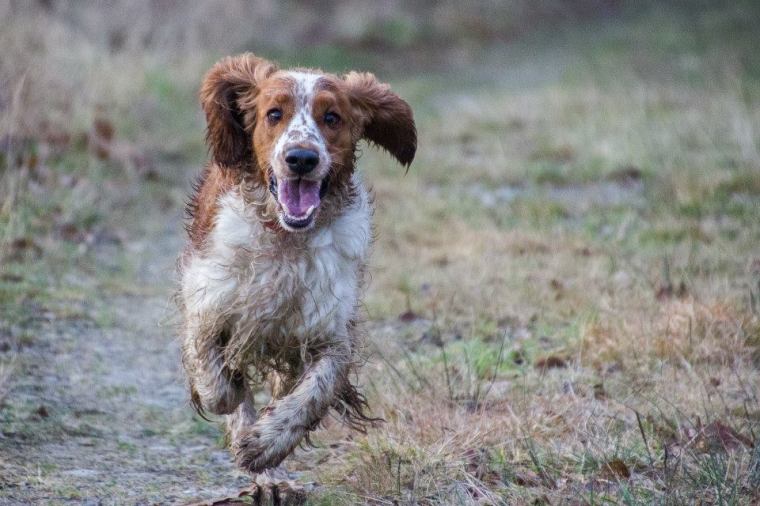 10264941_10152328679066116_7535301996024630881_n