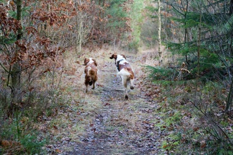 10734000_10152328678816116_4779908459792642698_n