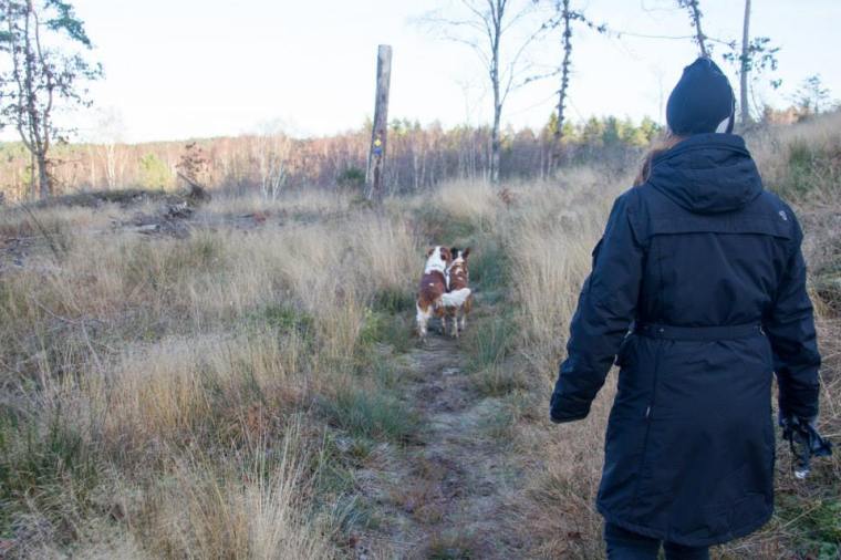 10802043_10152328678926116_4683261849582066494_n