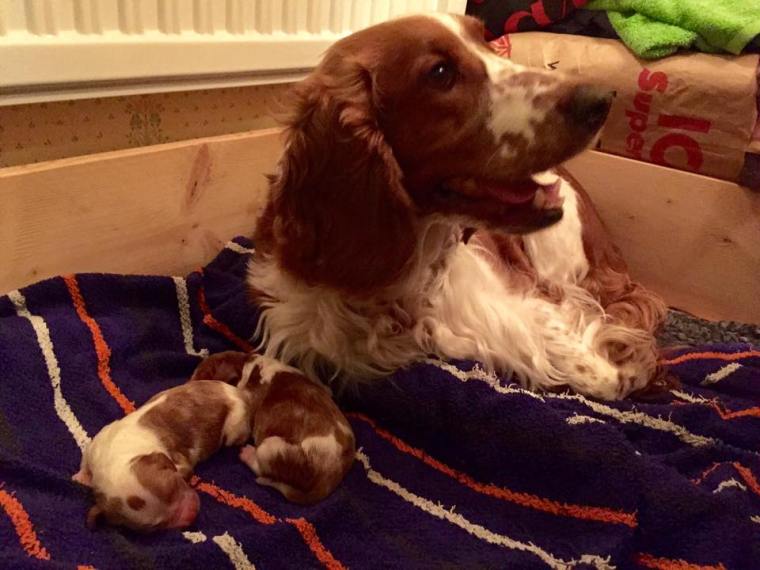 10959412_10152493575466116_7880934214239030591_n