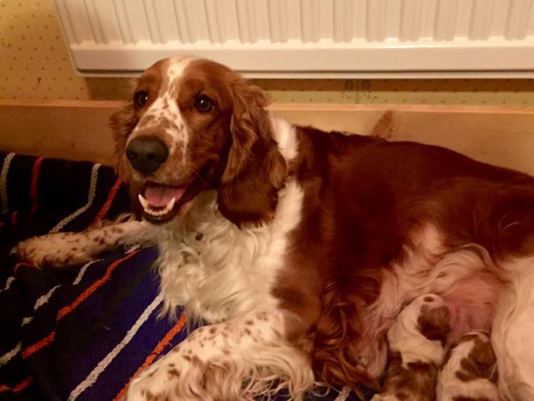 10993091_10152493575731116_100156349611549275_n