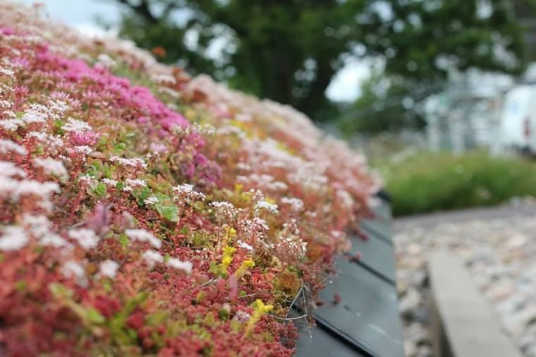 10995684_10152773556806116_9153756181643296570_n