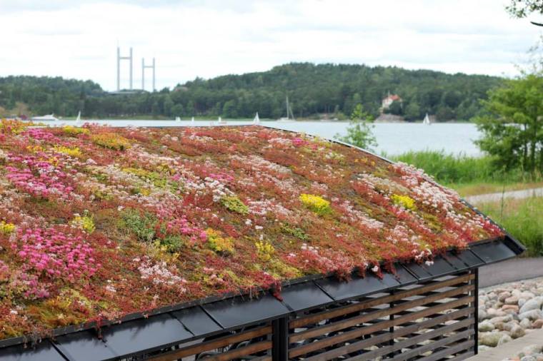 11659312_10152773556876116_4260757913531752448_n