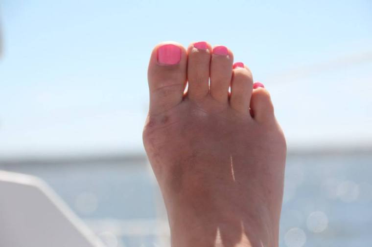 11665645_10152750543666116_5790180603817233445_n