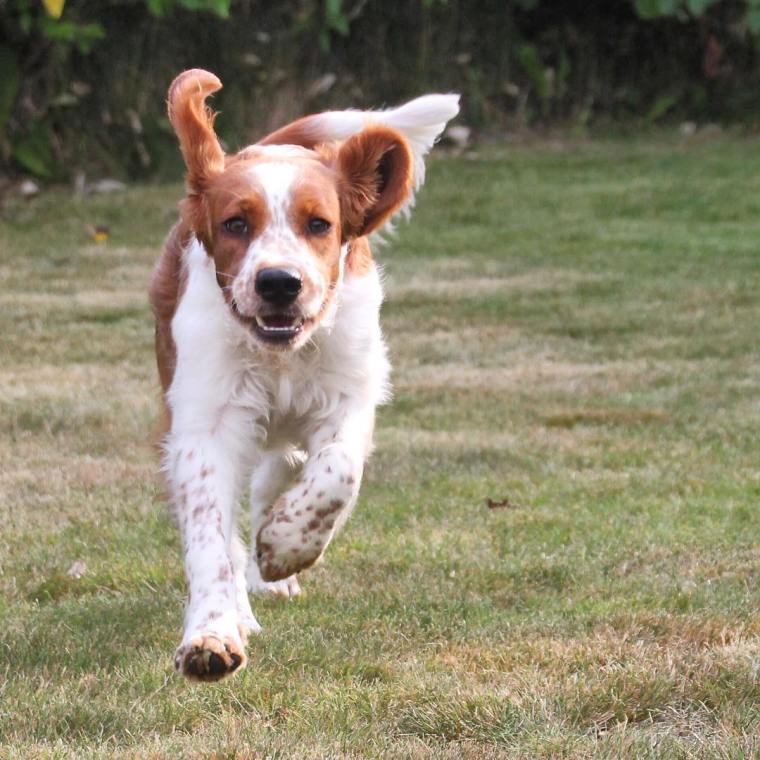 11934673_547973308684794_277137232_n