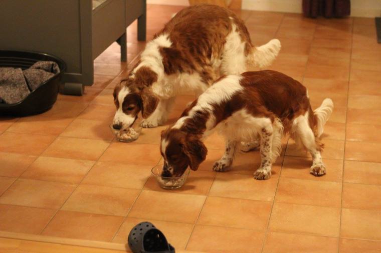 10560519_10153054327716116_3534389288713537878_o