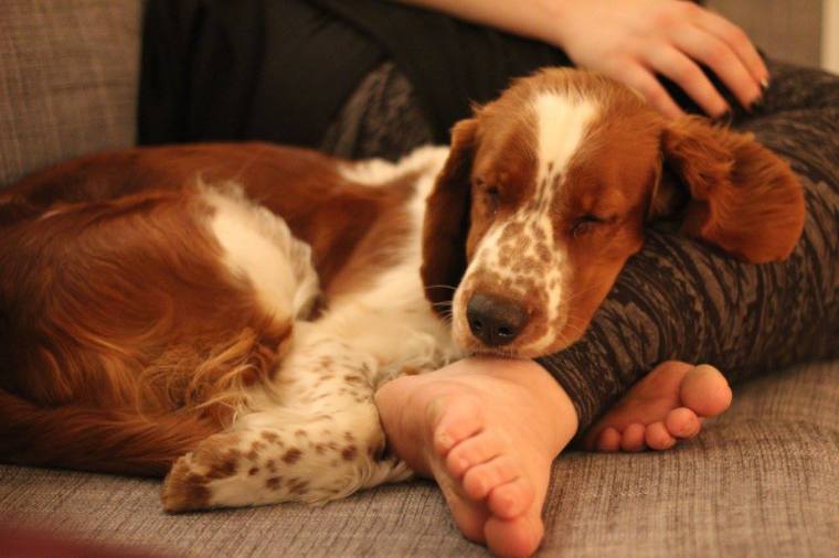 12377667_10153049428356116_4596779513486953600_o