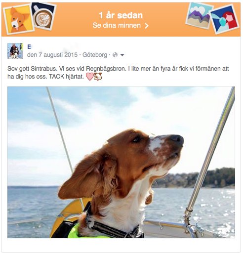 Skärmavbild 2016-08-07 kl. 18.00.33.png